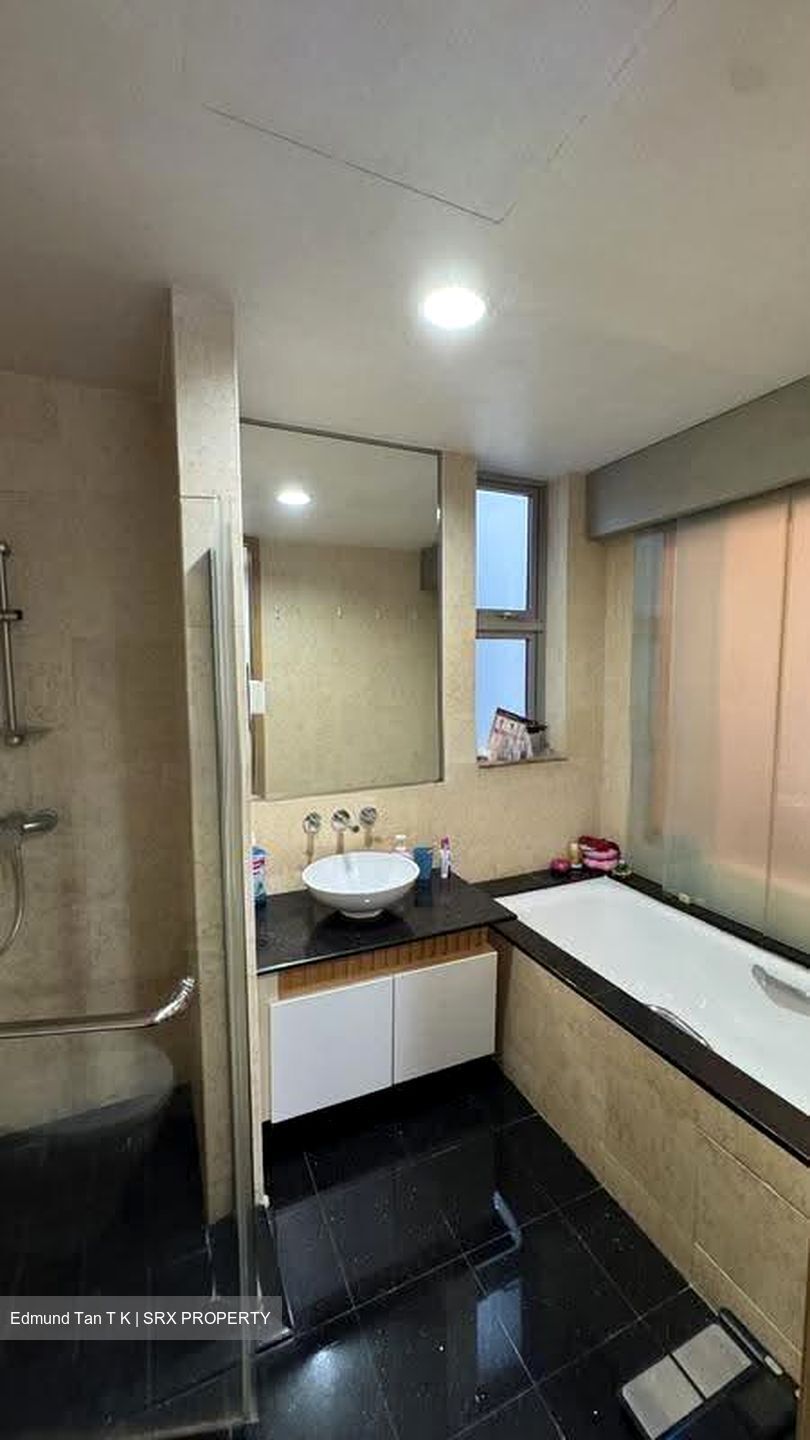 Cairnhill Crest (D9), Condominium #634166041